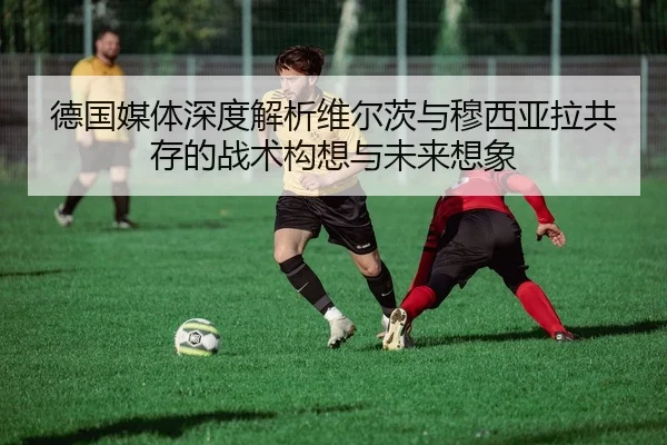 德国媒体深度解析维尔茨与穆西亚拉共存的战术构想与未来想象
